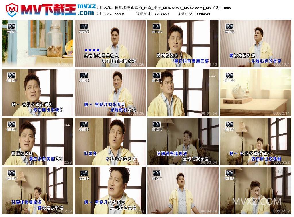 杨哲-是憨也是痴_闽南_流行_MD402959